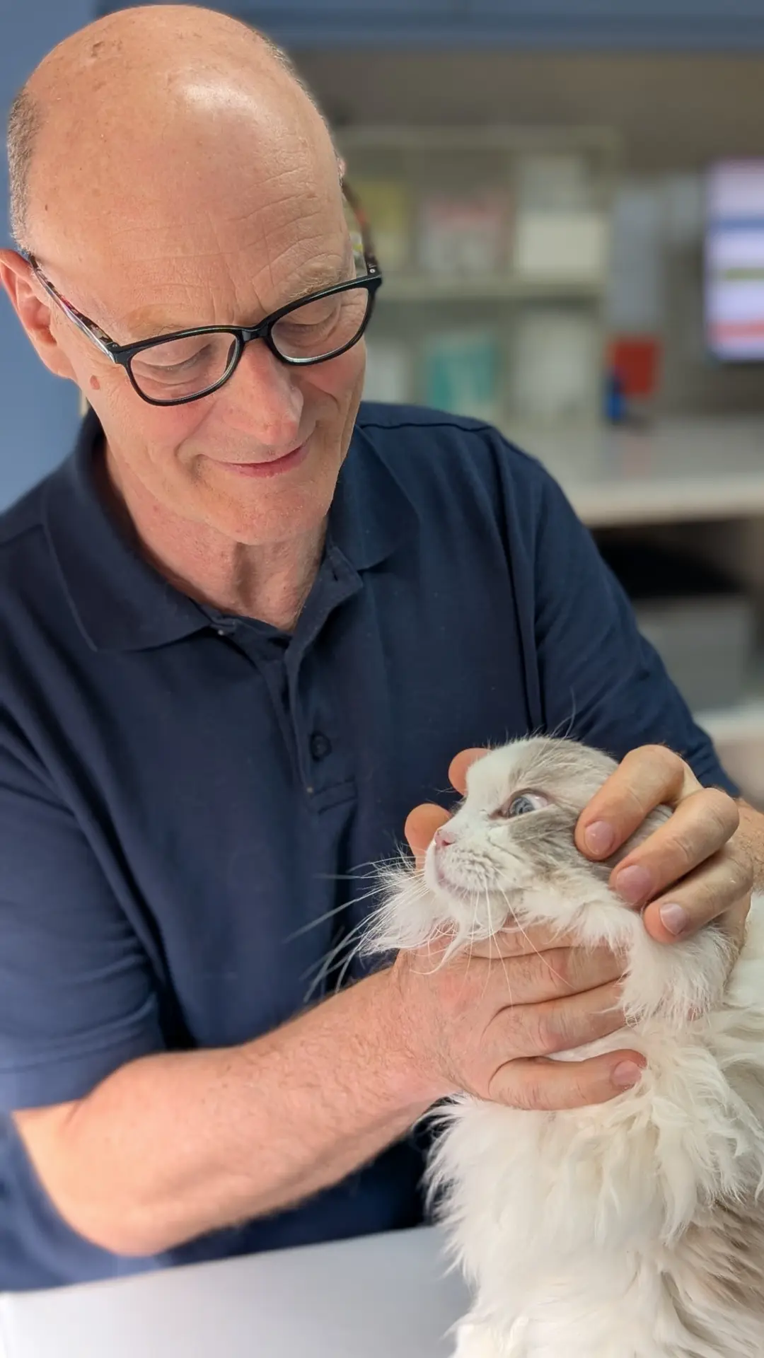 Christoph Schäuble mit einer weißen Katze auf dem Arm in der Praxis