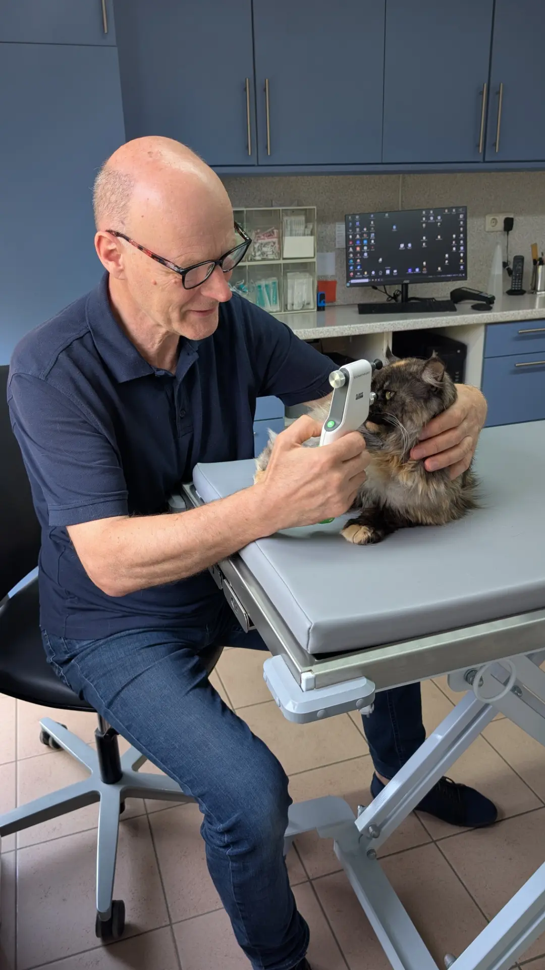 Christoph Schäuble misst bei einer Katze den Augeninnendruck